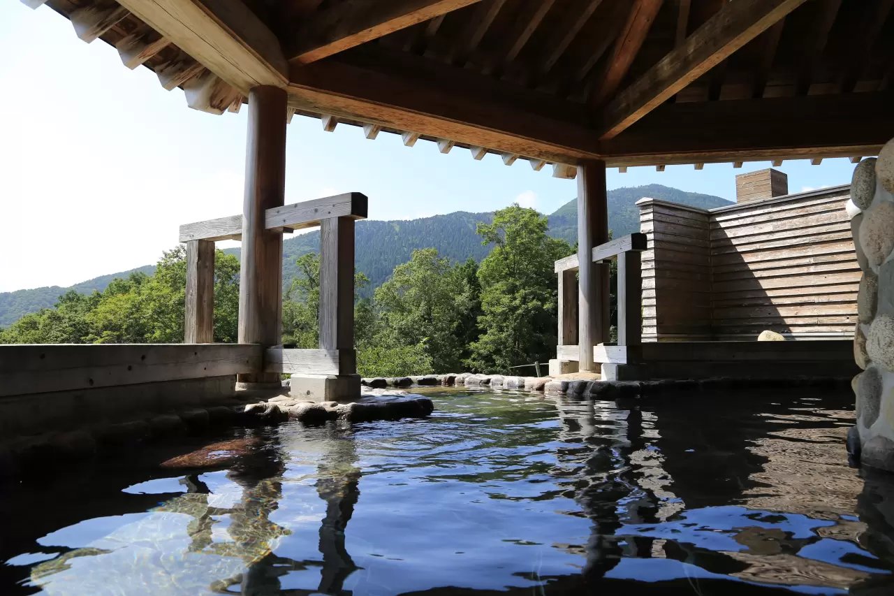 🍇 고슈시 가쓰누마 포도의 언덕(부도노오카) 이미지 5